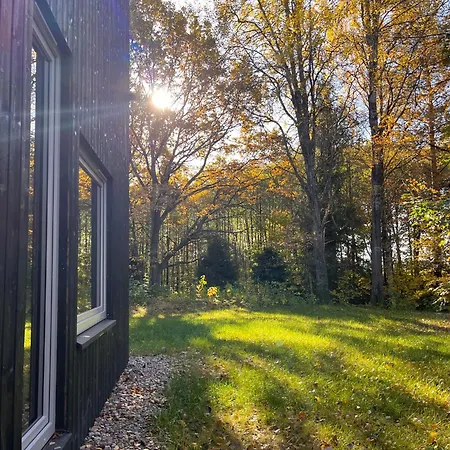 Graniasty - Nowoczesny Z Basenem