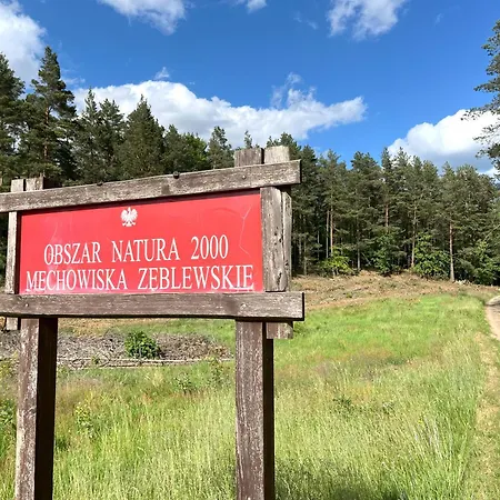 Graniasty - Nowoczesny Z Basenem *