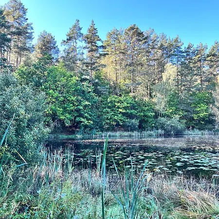 Graniasty - Nowoczesny Z Basenem * Smazyno