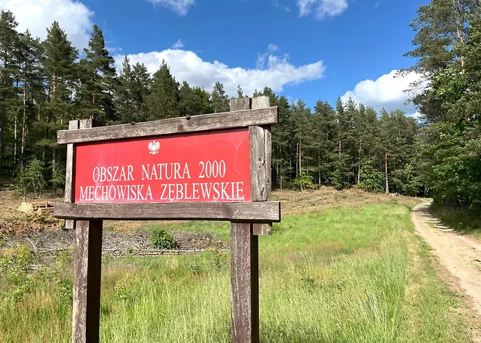 Graniasty - Nowoczesny Z Basenem *