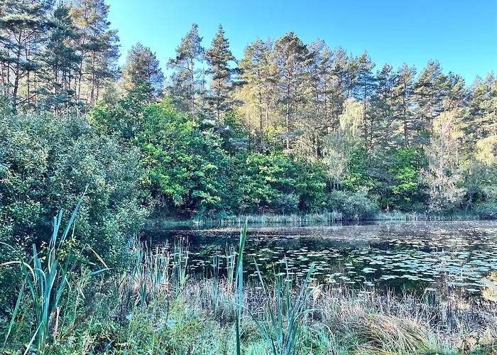 Graniasty - Nowoczesny Z Basenem * Smazyno