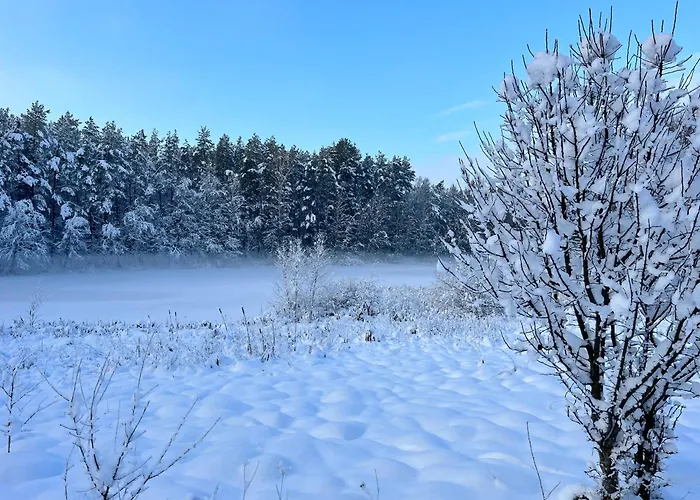 Graniasty - Nowoczesny Z Basenem Hébergement de vacances Smazyno